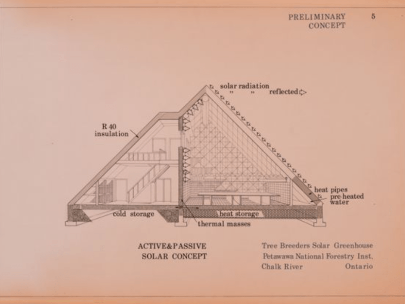 In the Scale of a Human&nbsp;Being